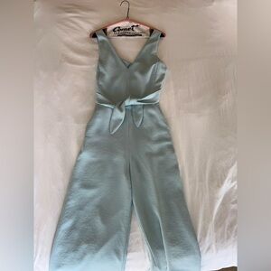 Aritzia Wilfred Blue Jumpsuit